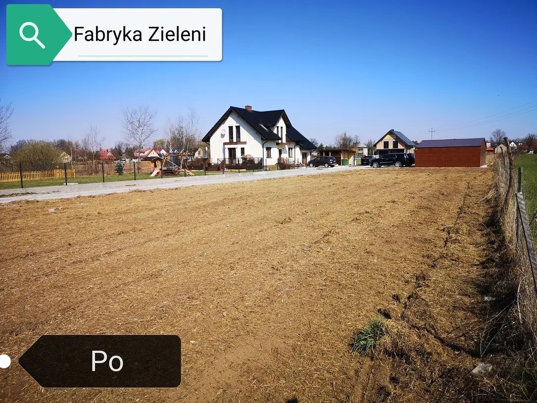 Karczowanie zarośli wycinka mulczer mulczowanie krzaków wycinka drzew