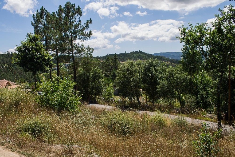 Terreno em Poiares,  
Ponte de Lima -