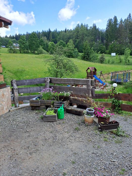 Istebna Domki całoroczne wolne terminy