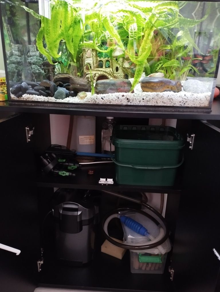 Akwarium z szafką   ok 60l