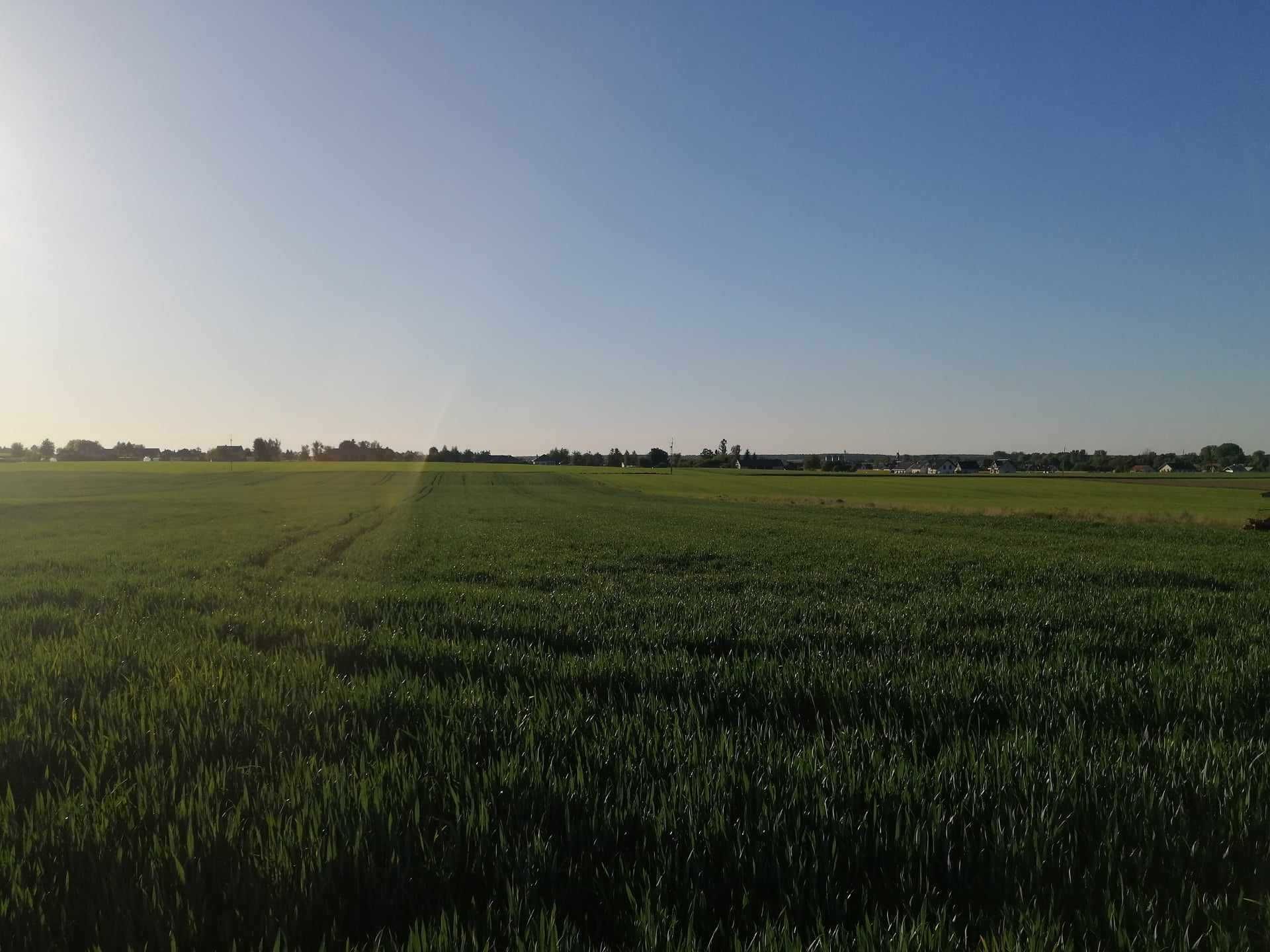 Ostatnia działka w pierwszej linii zabudowy! 15 min. od Lublina