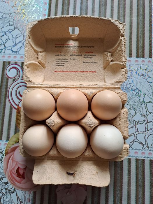 Swojskie jajka wiejskie