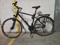 Rower Romet Wagant 7