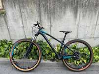 NS bikes Eccentric Alu 29 M