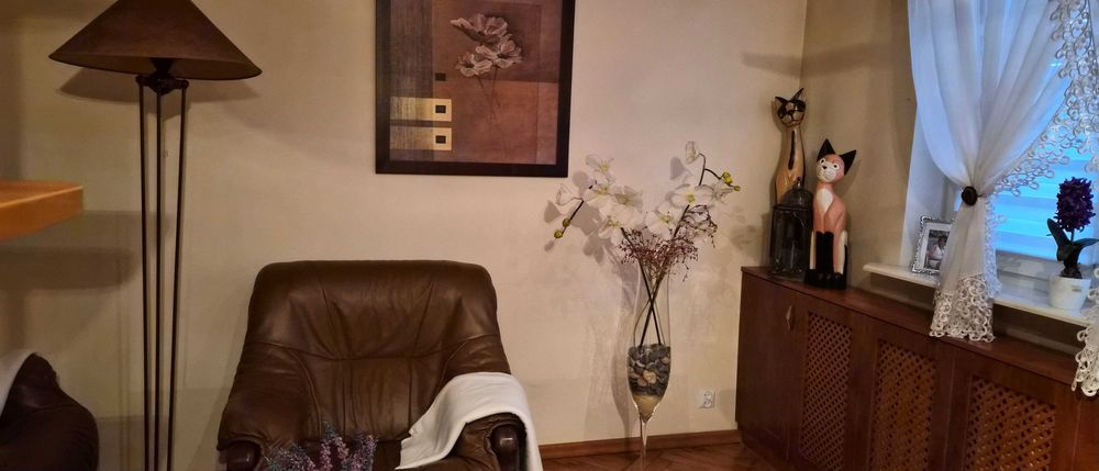 Sprzedam przytulne i bardzo ciepłe mieszkanie w Hajnówce.