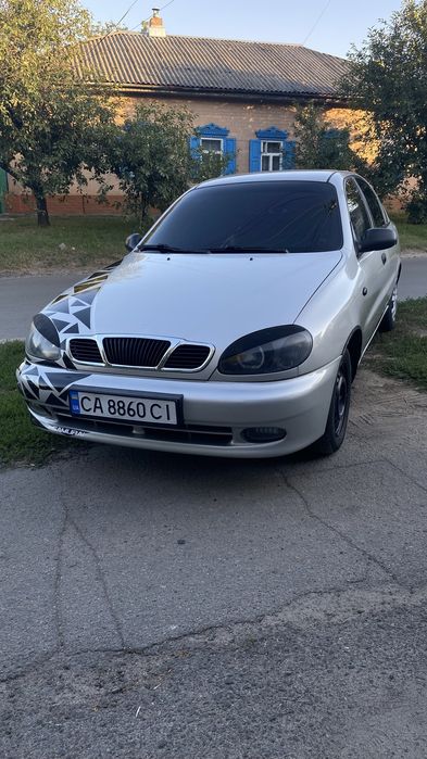 Ланос чистокровний поляк