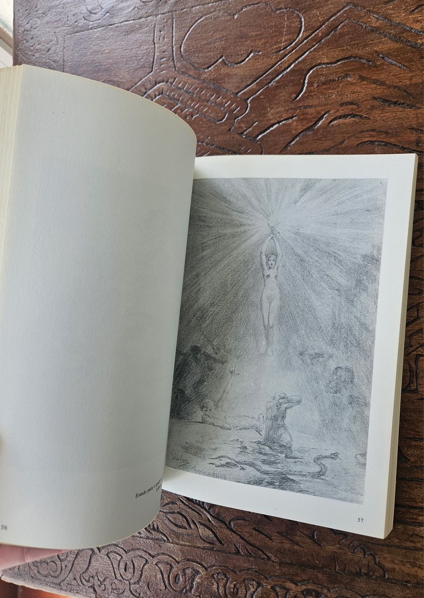 Livro Pedro Cruz desenhos