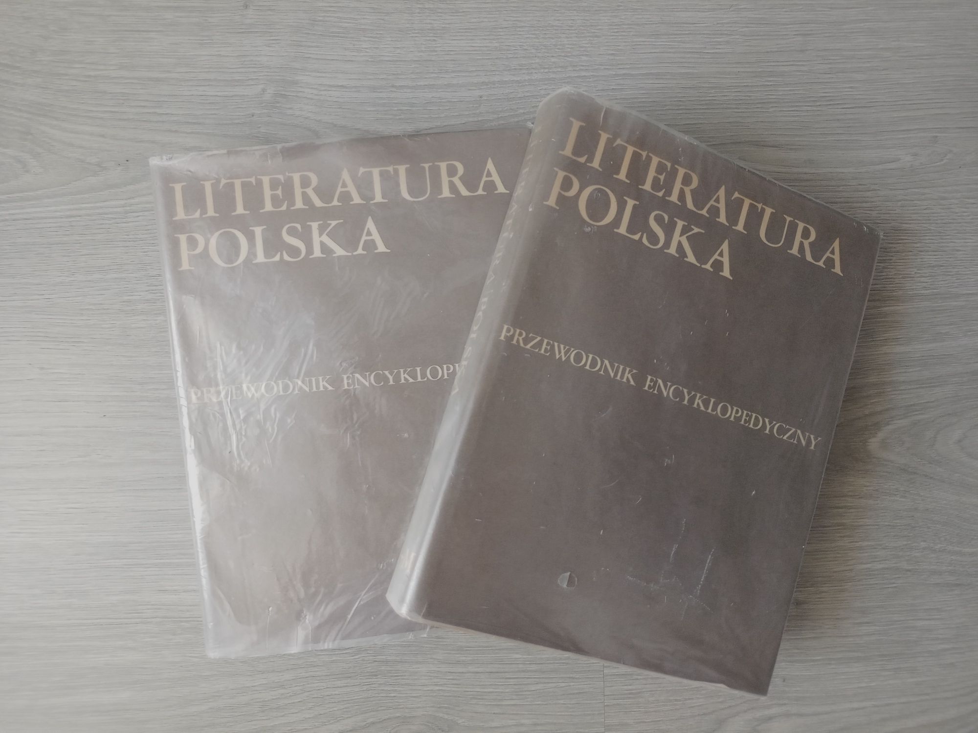 Literatura Polska PWN przewodnik encyklopedyczny
