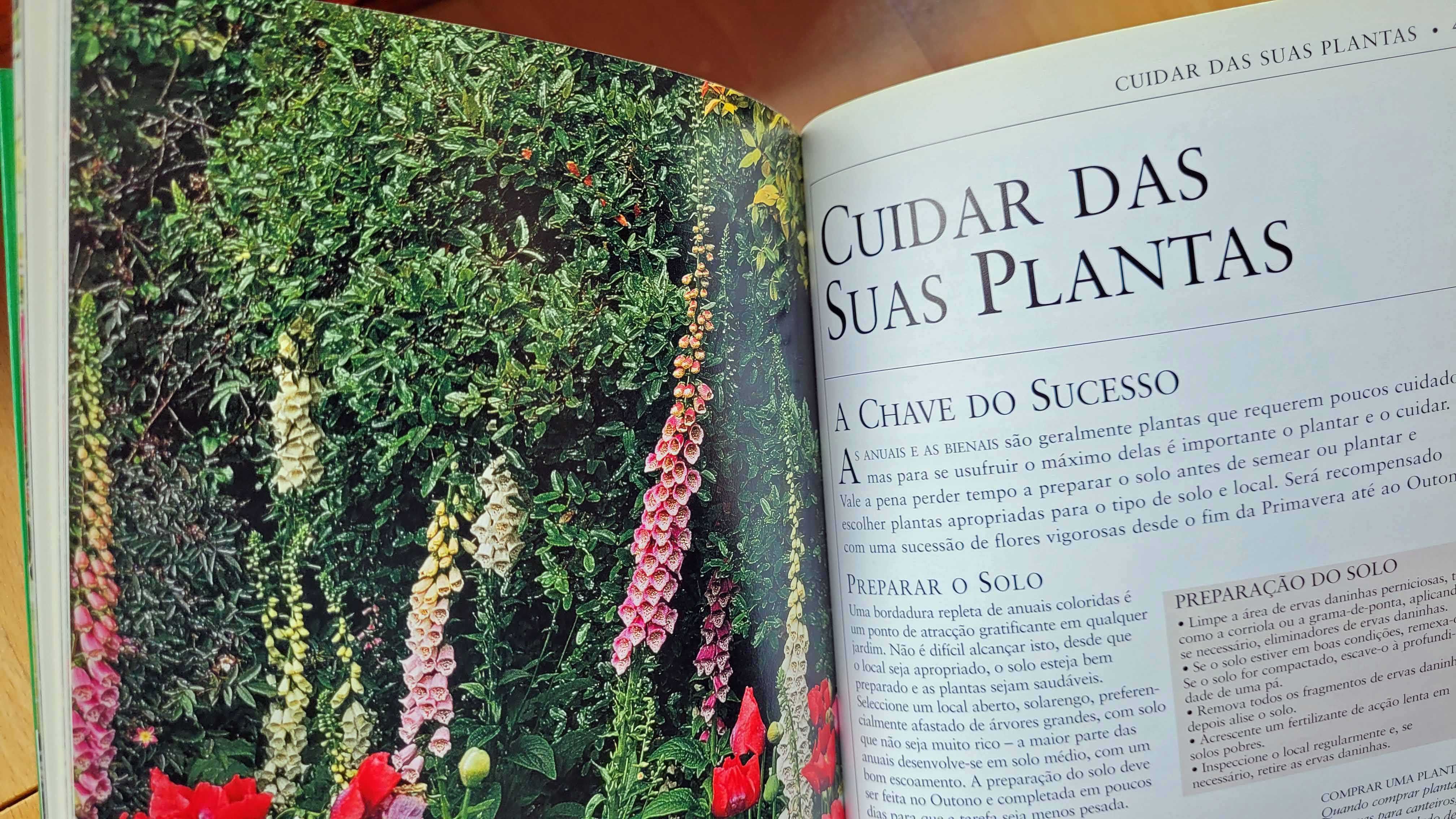 Manuais Práticos de Jardinagem.-Anuais e Bienais