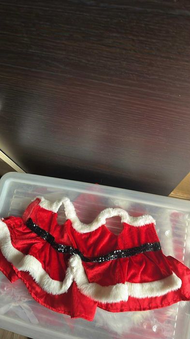 Nr 4 Ubranko świąteczne dla pupila.