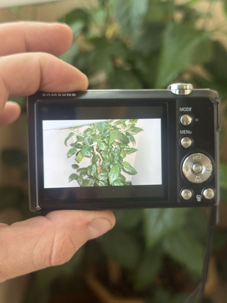 Цифровой фотоаппарат Samsung ST61