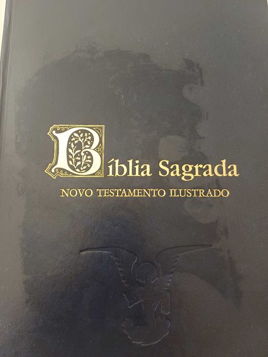 Bíblia Sagrada - Novo testamento