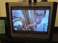 Televisão Sony 43cm