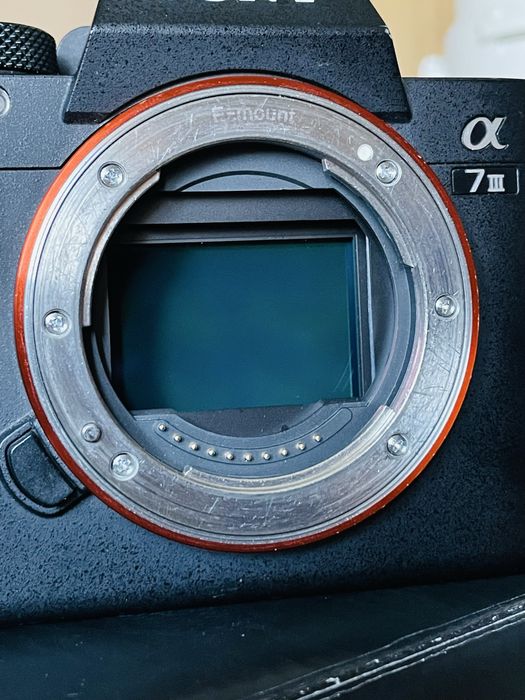 Sony A7III – pełna klatka, aparat bezlusterkowy