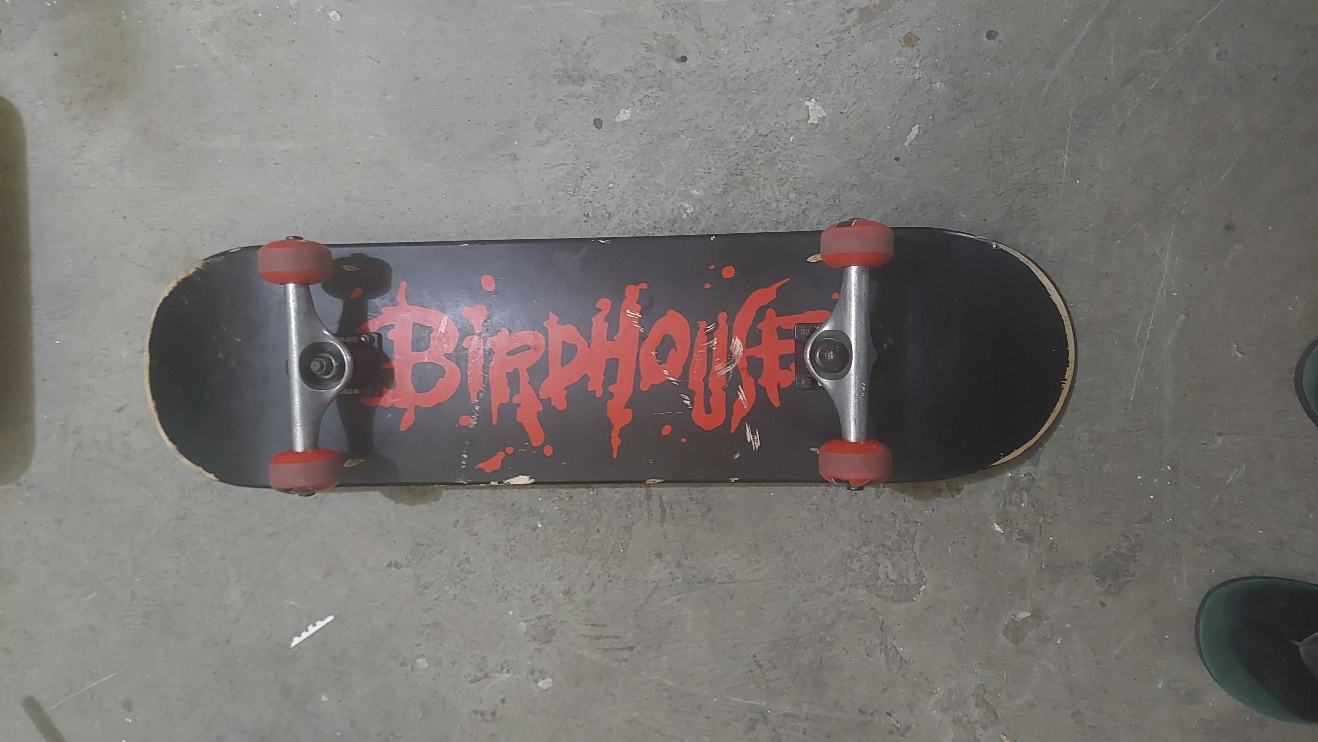 Skate Birdhouse Tony Hawk