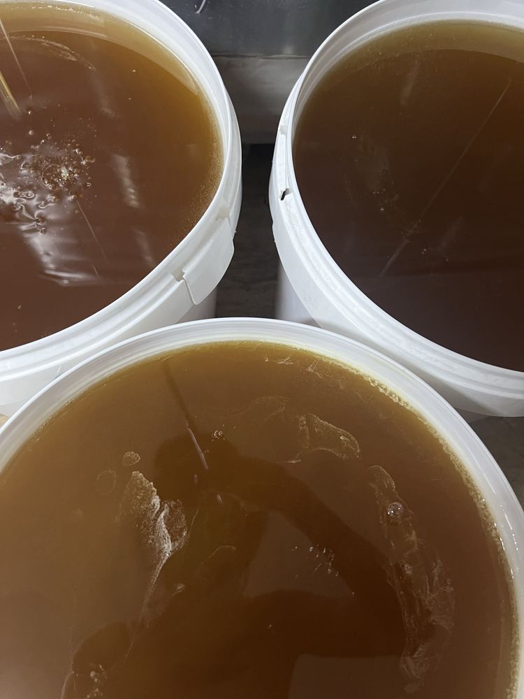 miod, miod wielokwiatowy naturalny pszczeli pasieki rodziny matki