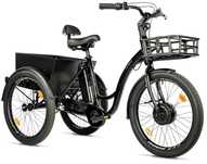 Rower elektryczny 3-kołowy 250W/45Nm Leader Fox Lovelo 602Wh