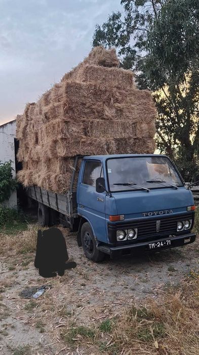 Toyota Dyna Bu30 3.0 1979