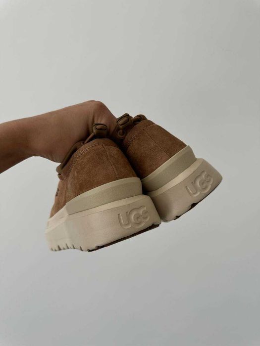 Угги UGG Tasman Hybrid Chestnut Beige / Уггі Тасман Гібрид бежеві замш