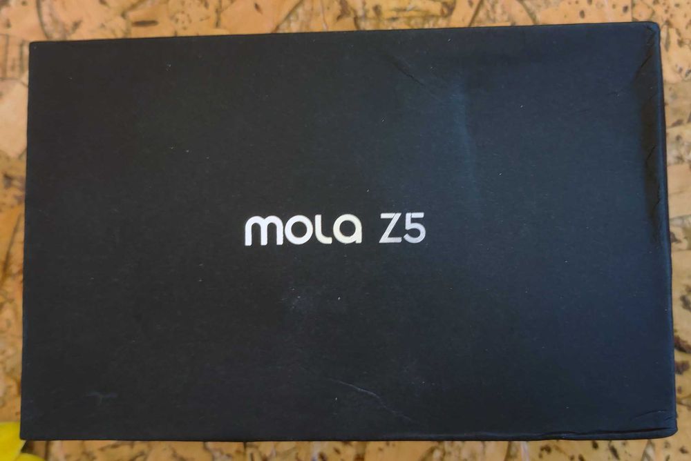 Видеорегистратор MOLA Z5 + DDPAI