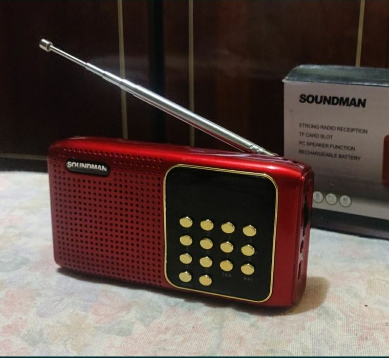 Цифровой приёмник Soundman SM-290 портативная акустическая система