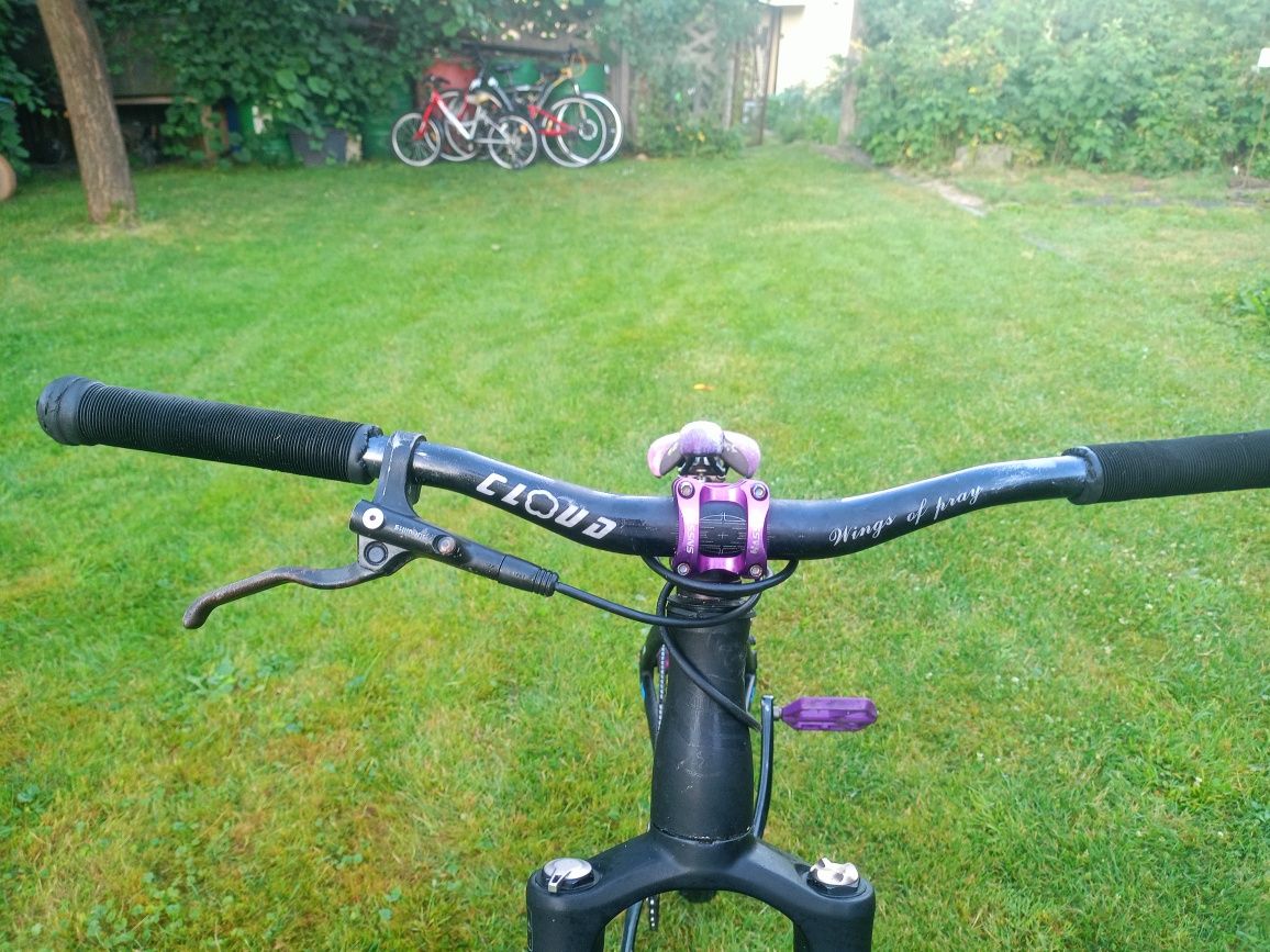 Ns bikes zircus 2021
