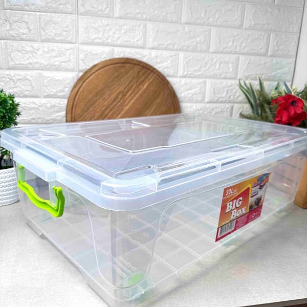 Контейнер з королівським пітоном регіус