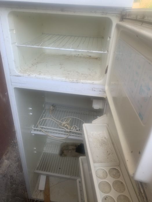 Холодильник Ardo