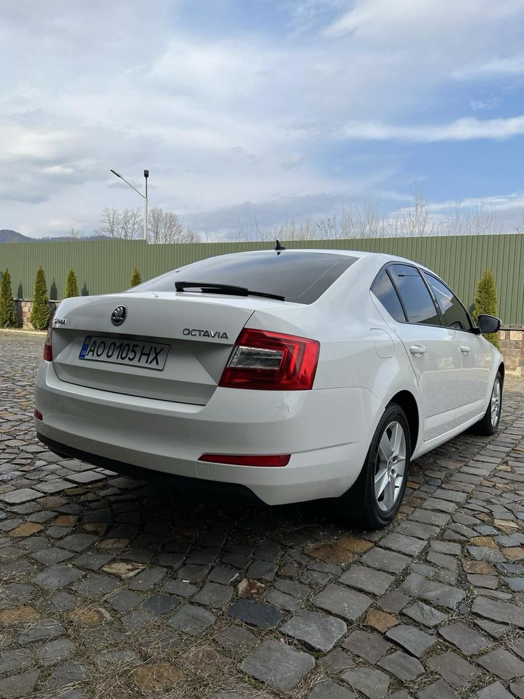 Skoda Octavia А7 шкода