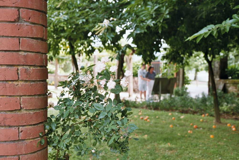 Olympus 35 SP 35mm  (preta)