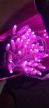 Sznur lampki LED różowy string light