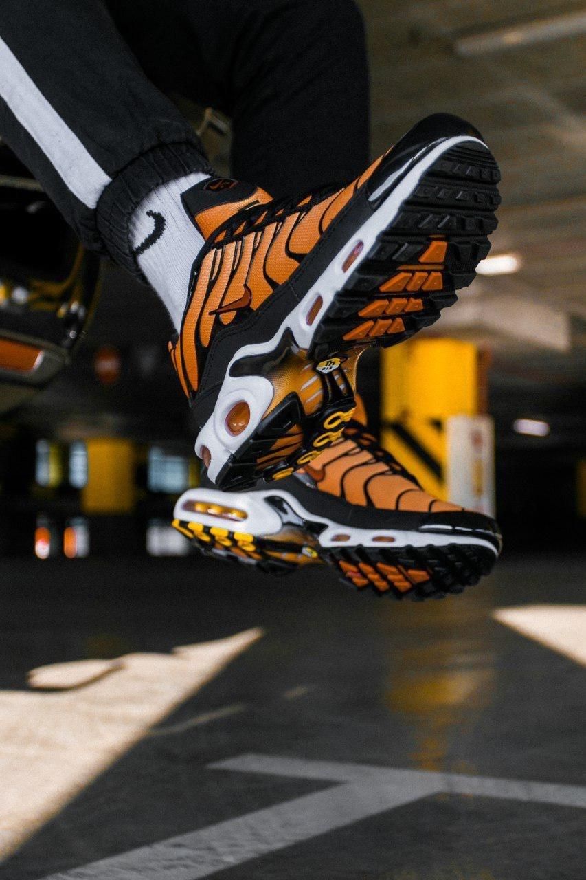 Кроссовки Nike Air Max Plus OG Tn Tiger