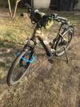 Rower elektryczny Raymon Tourray e5.0 damski
