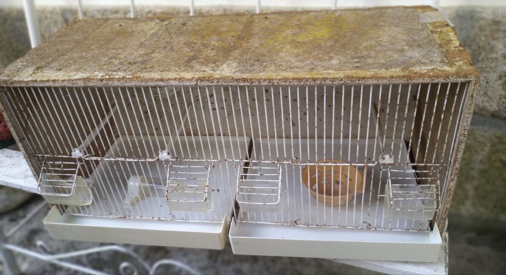 Gaiolão para pássaro