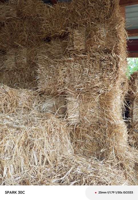 Солома на мульчування