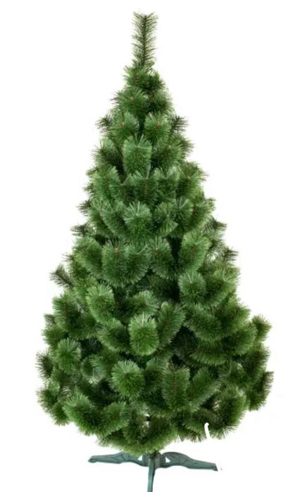 Ялинка (сосна ) у ідеальному стані