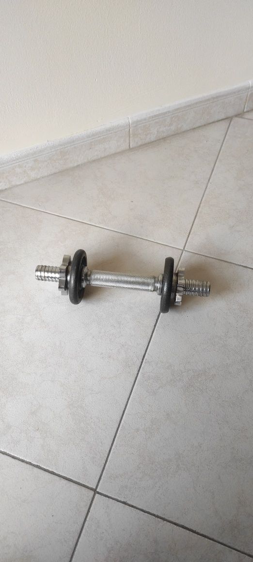 Halter Bohinger com discos