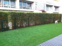 Vedação metálica verde de  1,03x2,5m e portão residencial 1,50x1,00m