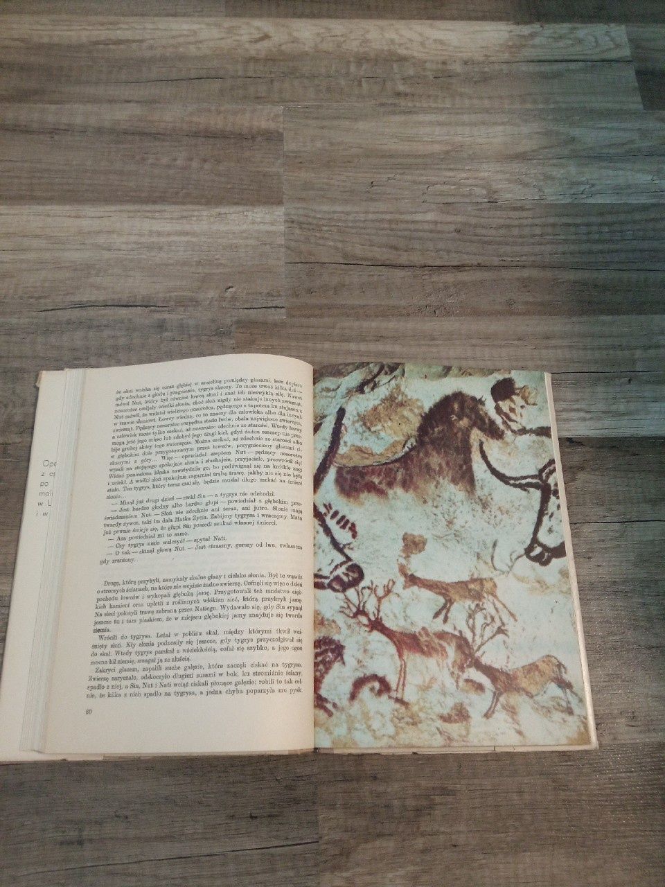 Bizon z jaskini Dewy Jerzy Cepik 1974
