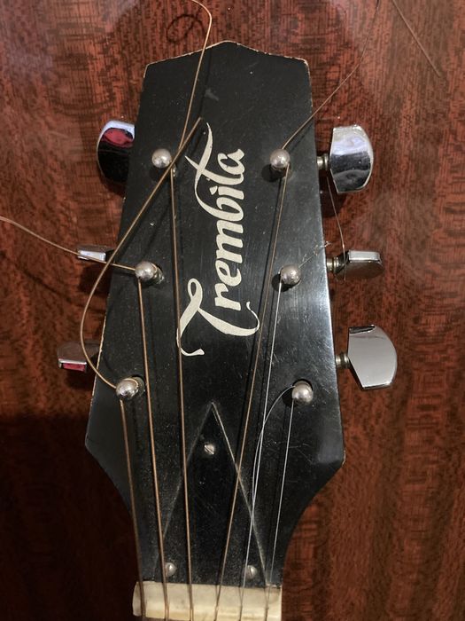 Гитара Trembita з чохлом