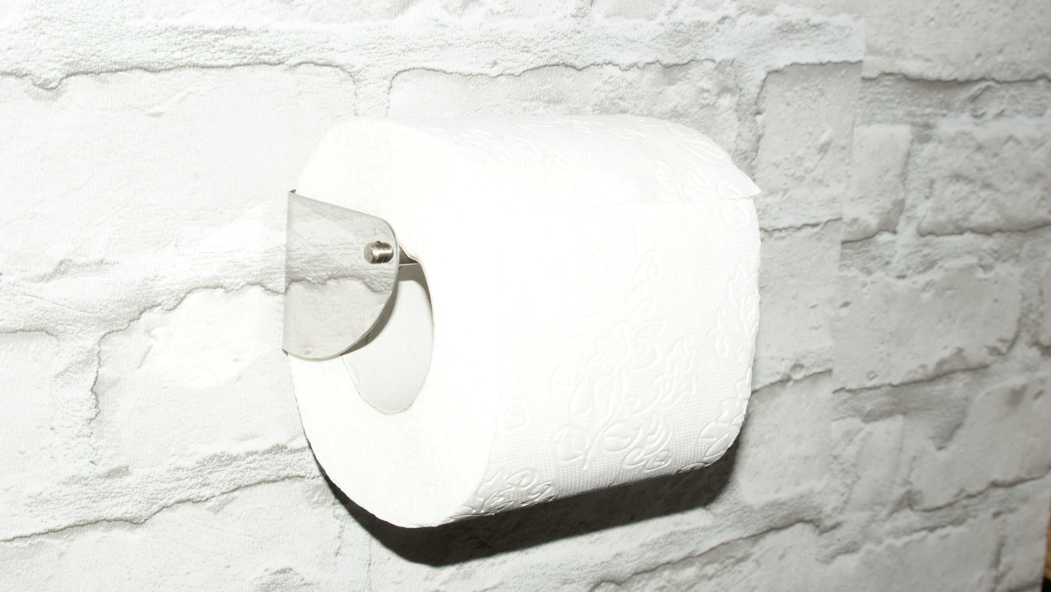 Тримач туалетного паперу (нержавіюча сталь)