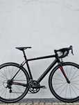 Focus Cayo Carbono M