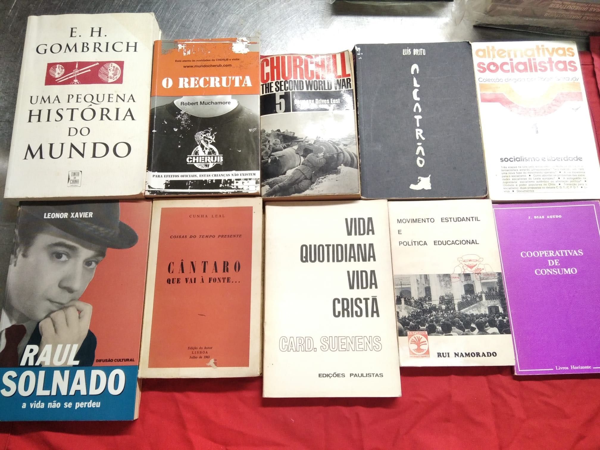 Lote livros vários