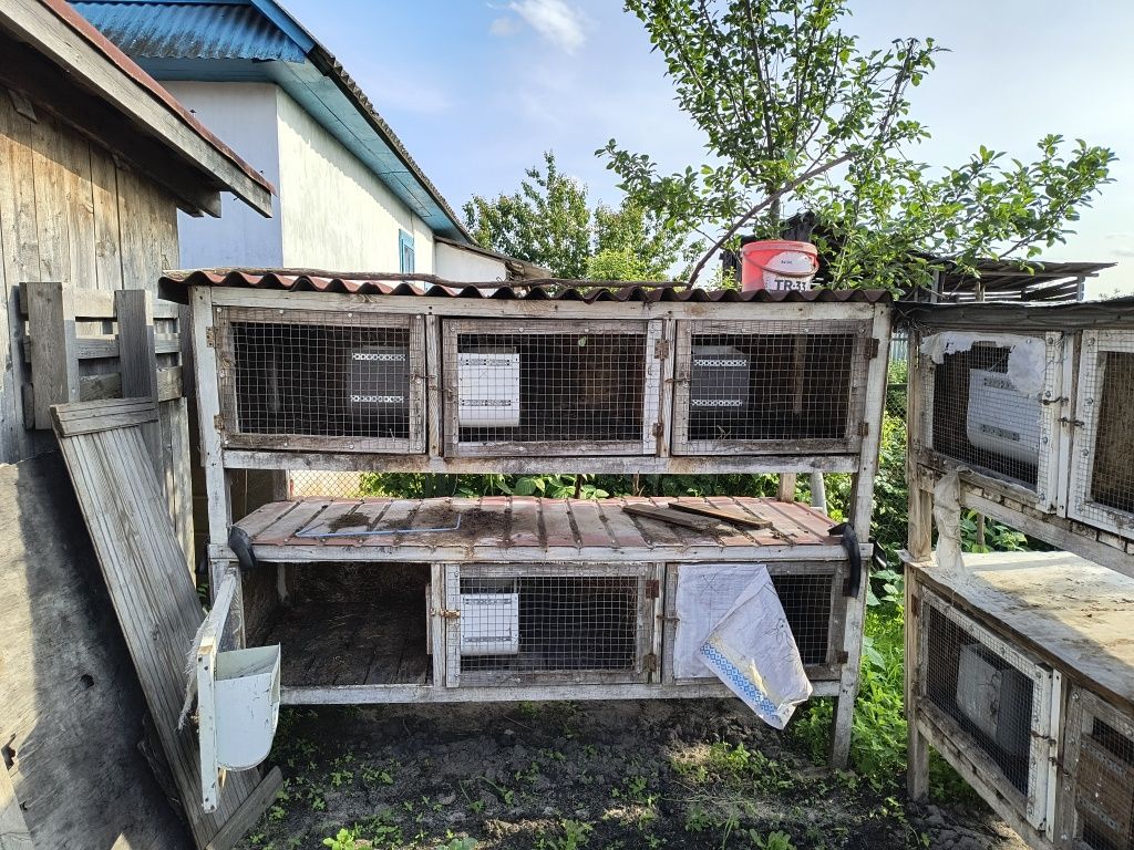 Клітки для кролів,птиці