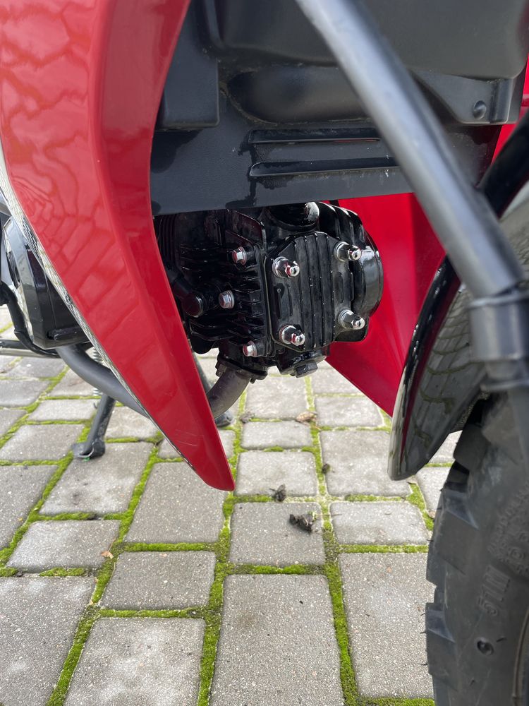 Musstang MT125-3 ACTIVE +