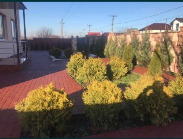 Пансіонат для людей похилого віку