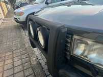 Mata Vacas Bullbar Range Rover P38