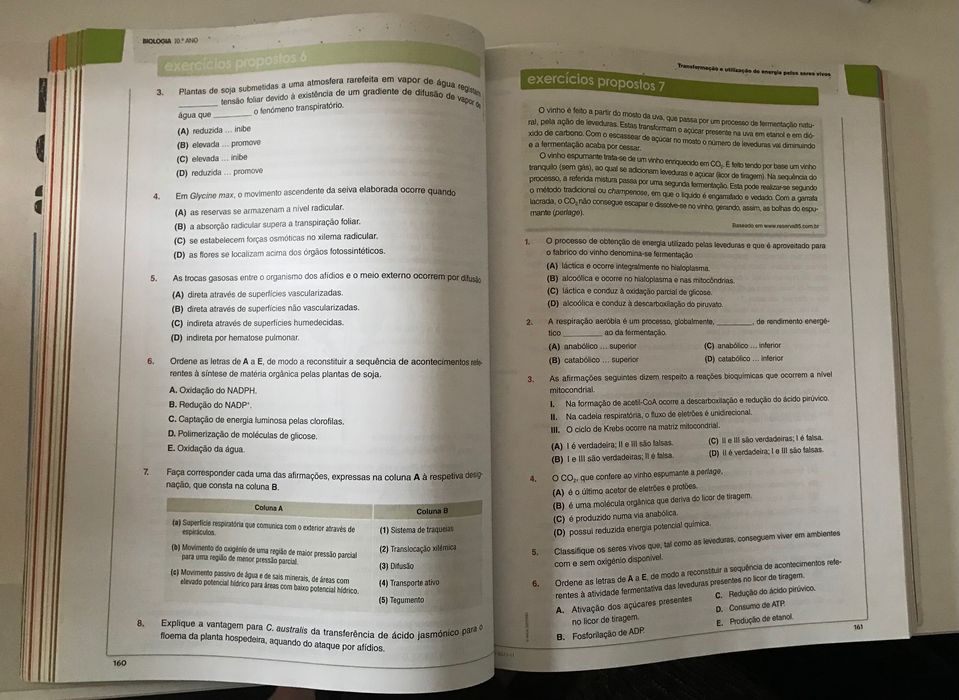 Preparar o Exame Nacional - 11°ano - Biologia e Geologia