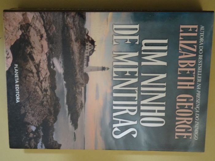 Um Ninho de Mentiras de Elizabeth George