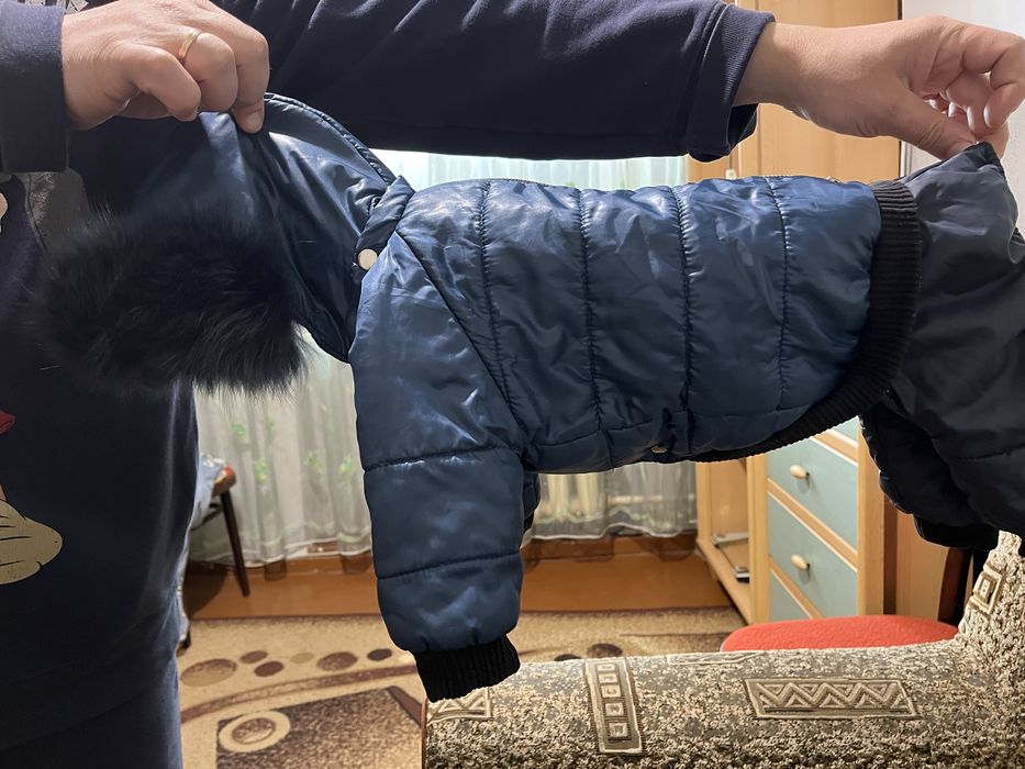 Продам комбинезон для собачки